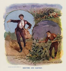 Seedtime and Harvest