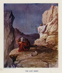 The lost sheep