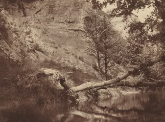 Riverbank, c. 1855