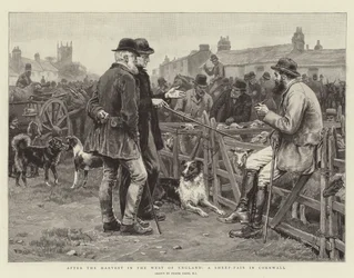 After the Harvest in the West of England, a Sheep-Fair in Cornwall