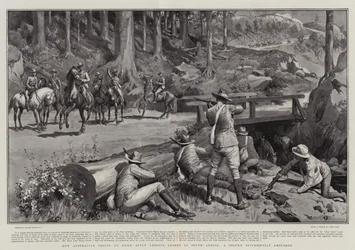 How Australian Troops at Home apply Lessons learnt in South Africa, a Column Successfully ambushed