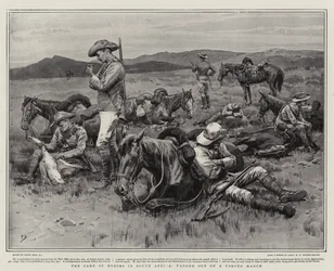 The Care of Horses in South Africa, fagged out on a Forced March