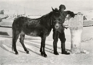 Gran With Mule Lal Khan (c. 1911)