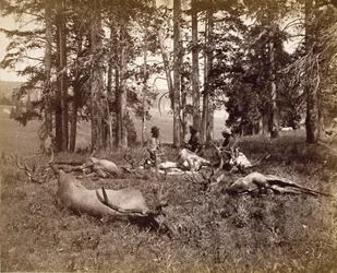 Elk Hunters, Yellowstone, c.1880