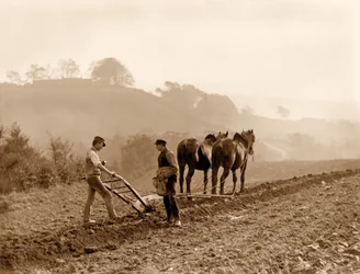 Farmers Ploughing a Field on Lealholm Hall Farm, Whitby. c.1889