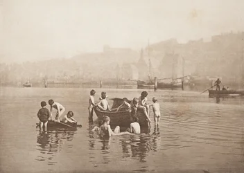 Water Rats