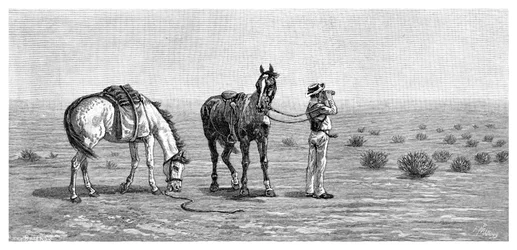 Nothing in Sight, 1886