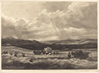 Hayfield in Yorkshire