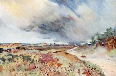 Heath near Sandringham