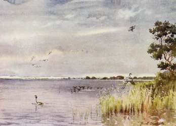 Norfolk Broads: Horsey Mere