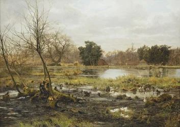 Rural Scene