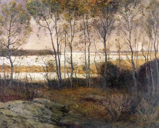 Silvery Waters