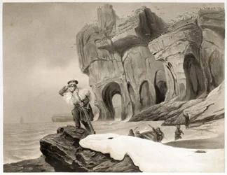 Bear Island from Voyages en Scandinavie, en Laponie, au Spitzberg et aux Feroe, pub. 1852