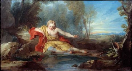 Narcissus Contemplating Its Reflection