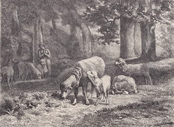The Sheep, from Magasin Pittoresque