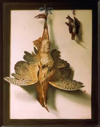 Trompe l’oeil with Dead Birds