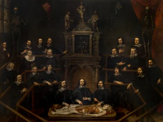 The Anatomy Lesson of Doctor Joannes van Buyten in the Surgeon