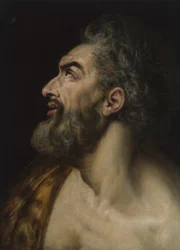 Study Head of a Bearded Man