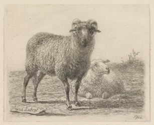 Ram and Sheep