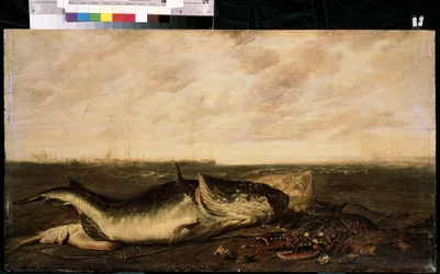 Fish and lobster on seashore