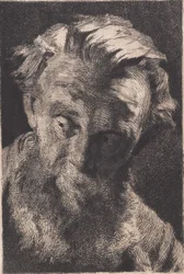 Old Bearded Man Looking to the Side