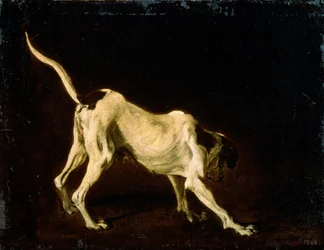A Dog, 17th Century