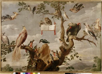 A Bird