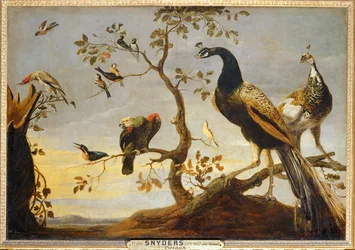 Birds on Branches