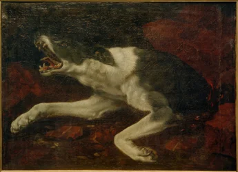Injured Dog