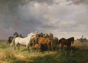 Horses on the Puszta