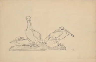 Design for a Pelican Group