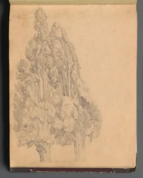 Album with Views of Rome and Surroundings, Landscape Studies, page 13a: Trees