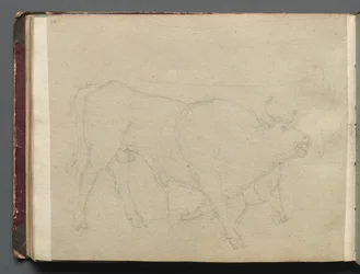 Album with Views of Rome and Surroundings, Landscape Studies, Page 51b: Study of a Bull