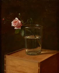 Rose in Glass