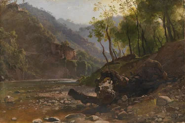 View of a Wooded River