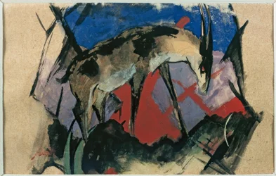 Antelope