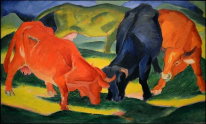 Fighting Cows