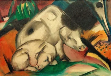 Pigs (Sow)