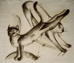 Playing Cats