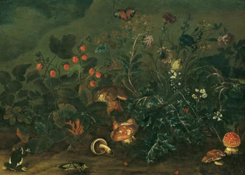 Lawn with Strawberries and Fly Agaric