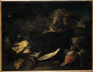 Dead Fowl