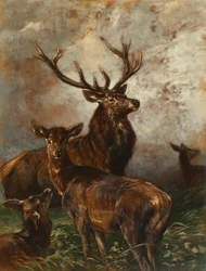 Stag and Doe