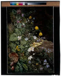 Wildflowers at the base of a tree