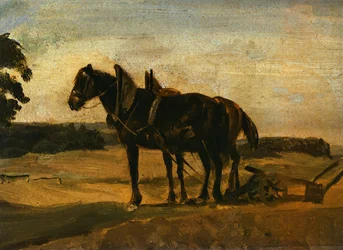 Horses before the plough
