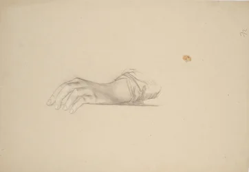 Hand Study