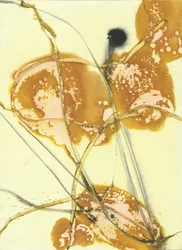 Organic Golden Washes