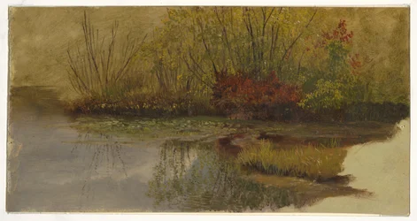 A Corner of a Pond