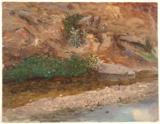 Bank of a Stream