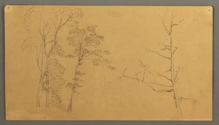 A Group of Trees with the Upper Part of a Dead Tree, 1866