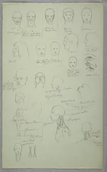 Anatomical Studies, 1865–70